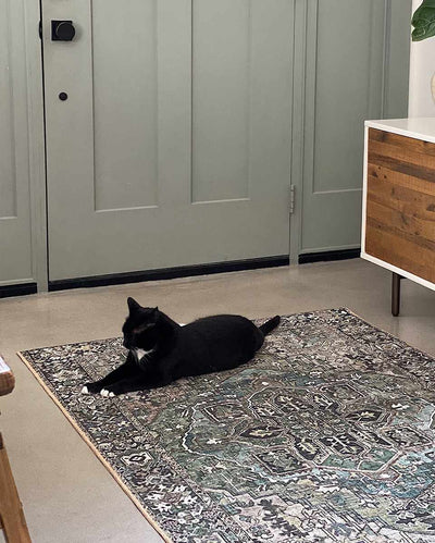 Neyland Sage Green Area Rug